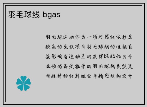羽毛球线 bgas