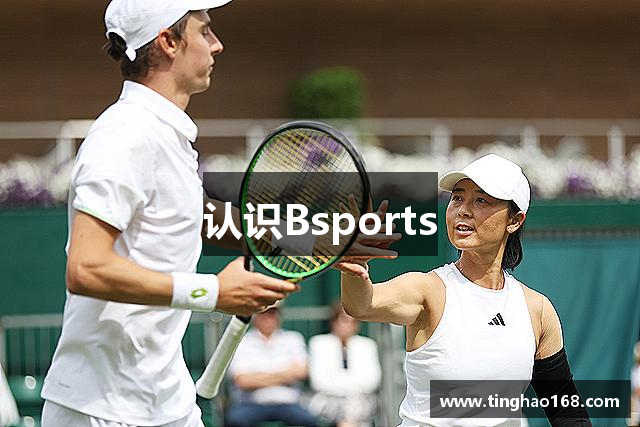 认识Bsports